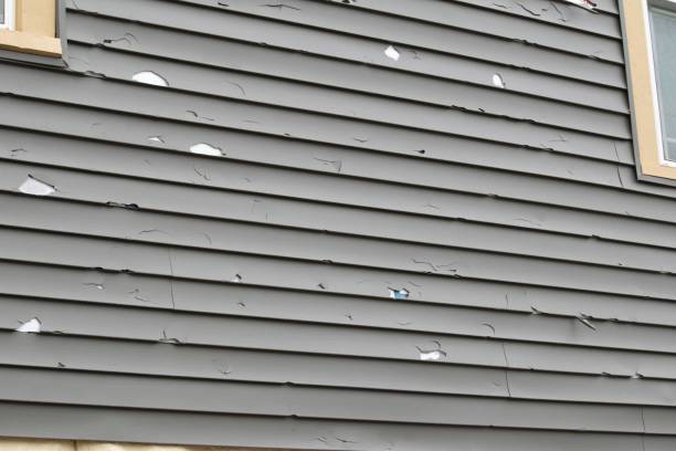 Best Fascia and Soffit Installation  in Bells, TN